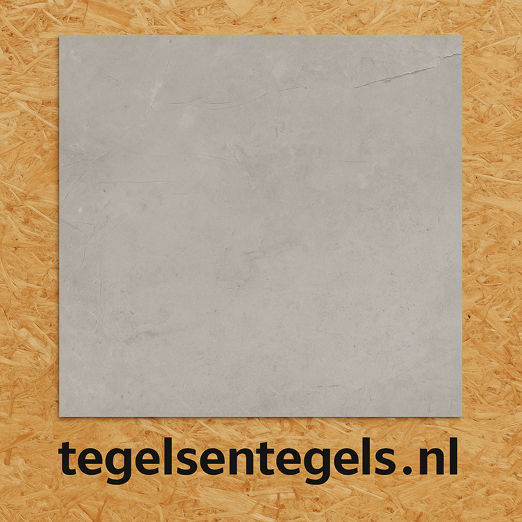 Vloertegels Squares balze grey, maat 100x100x1.0 cm.